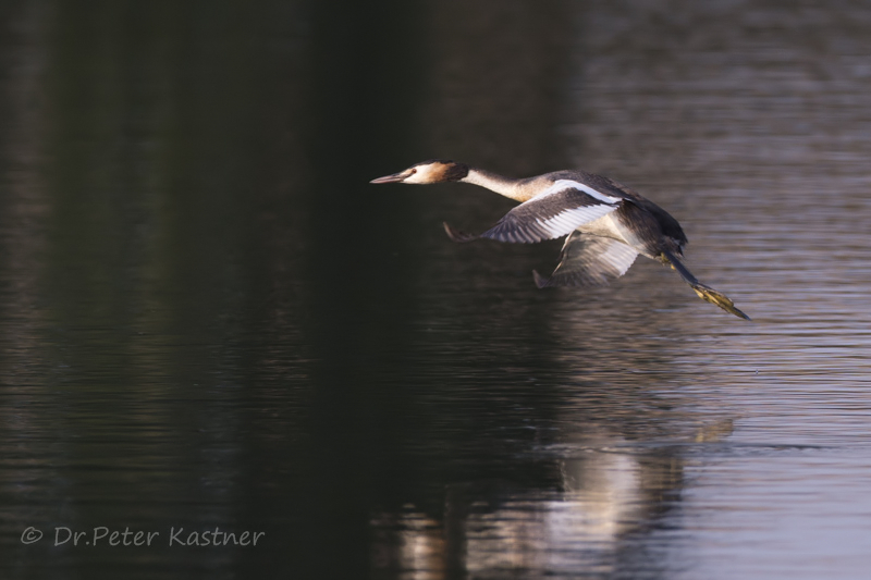 im Vorbeiflug ...