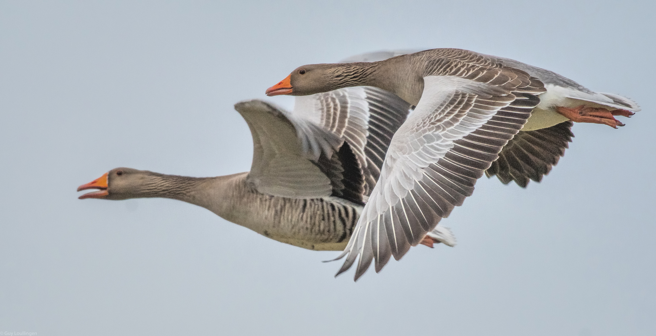 im Vorbeiflug