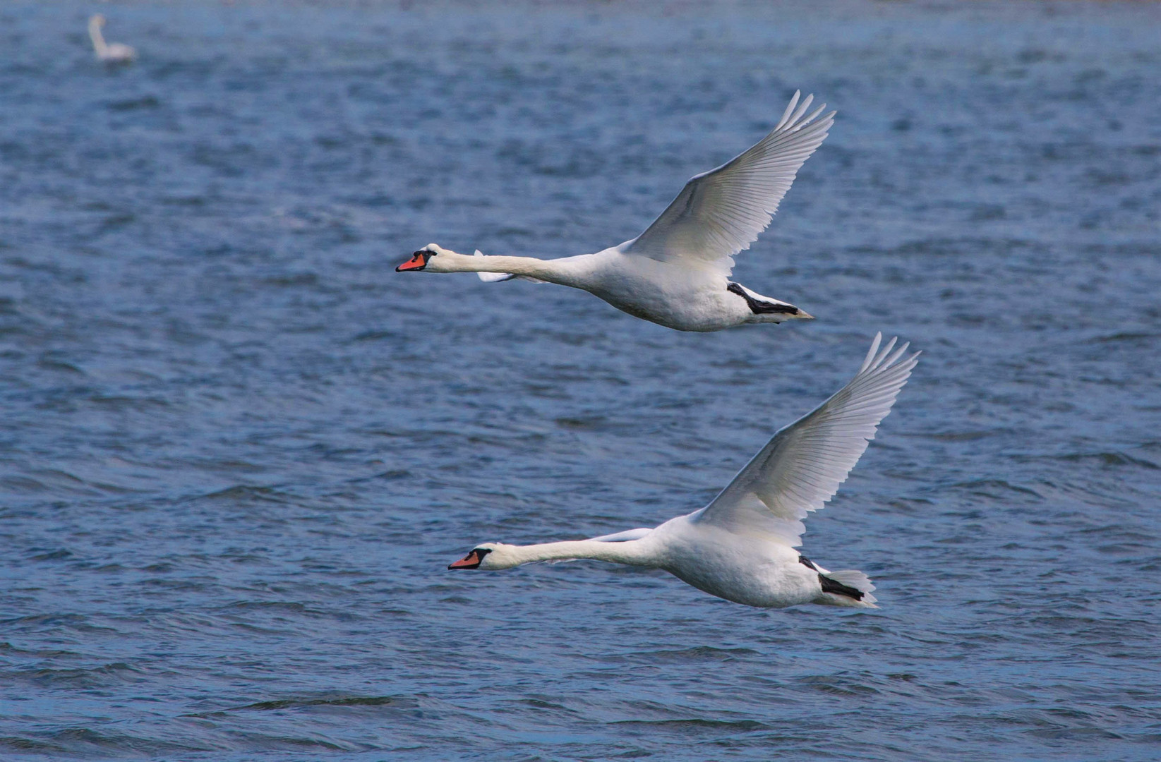 Im Vorbeiflug