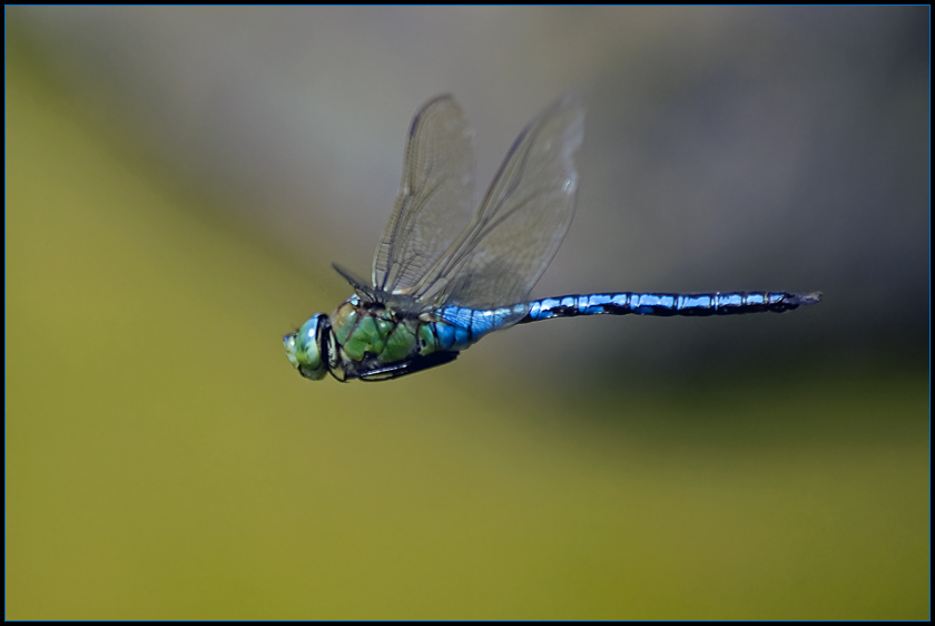 Im Vorbeiflug