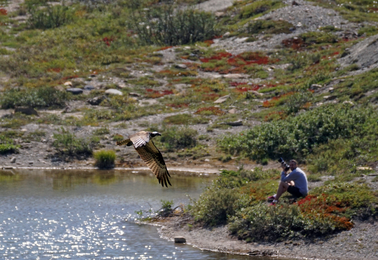 Im Vorbeiflug