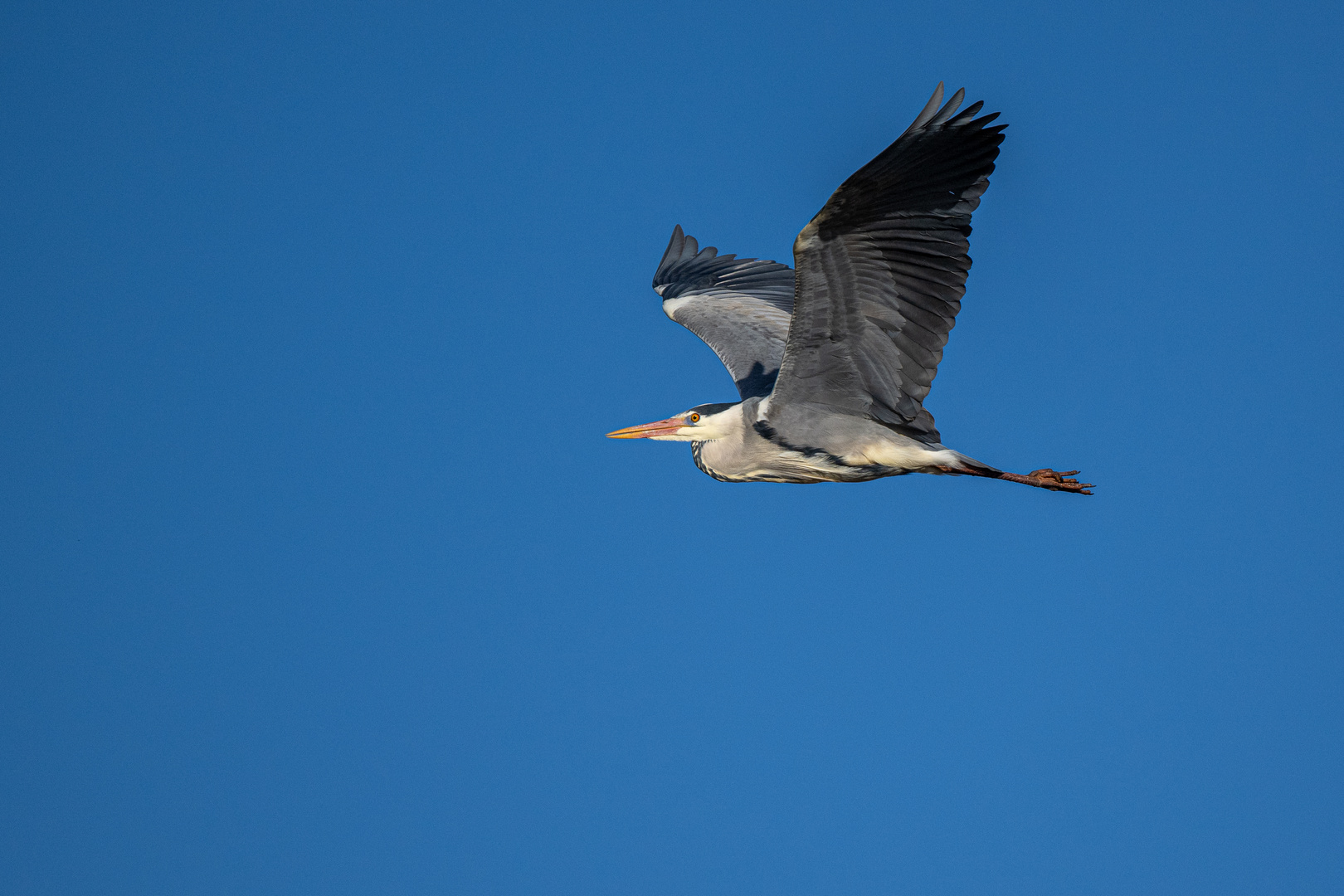 Im Vorbeiflug