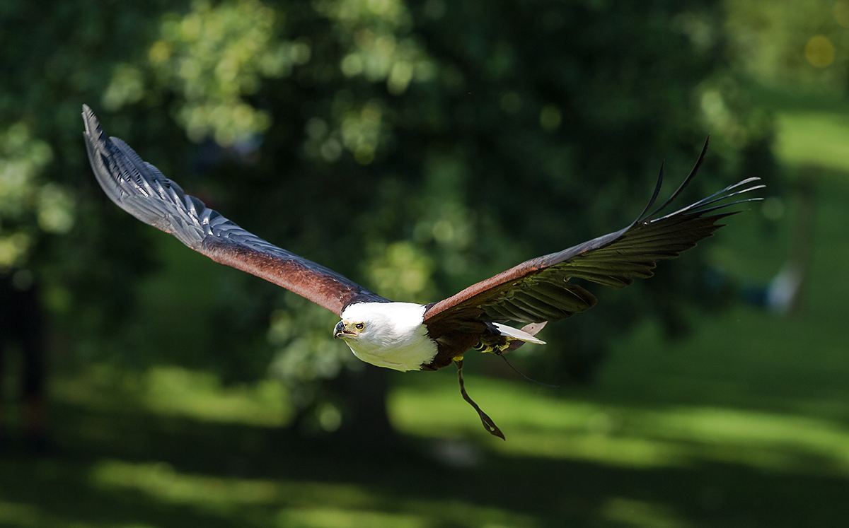 Im Vorbeiflug