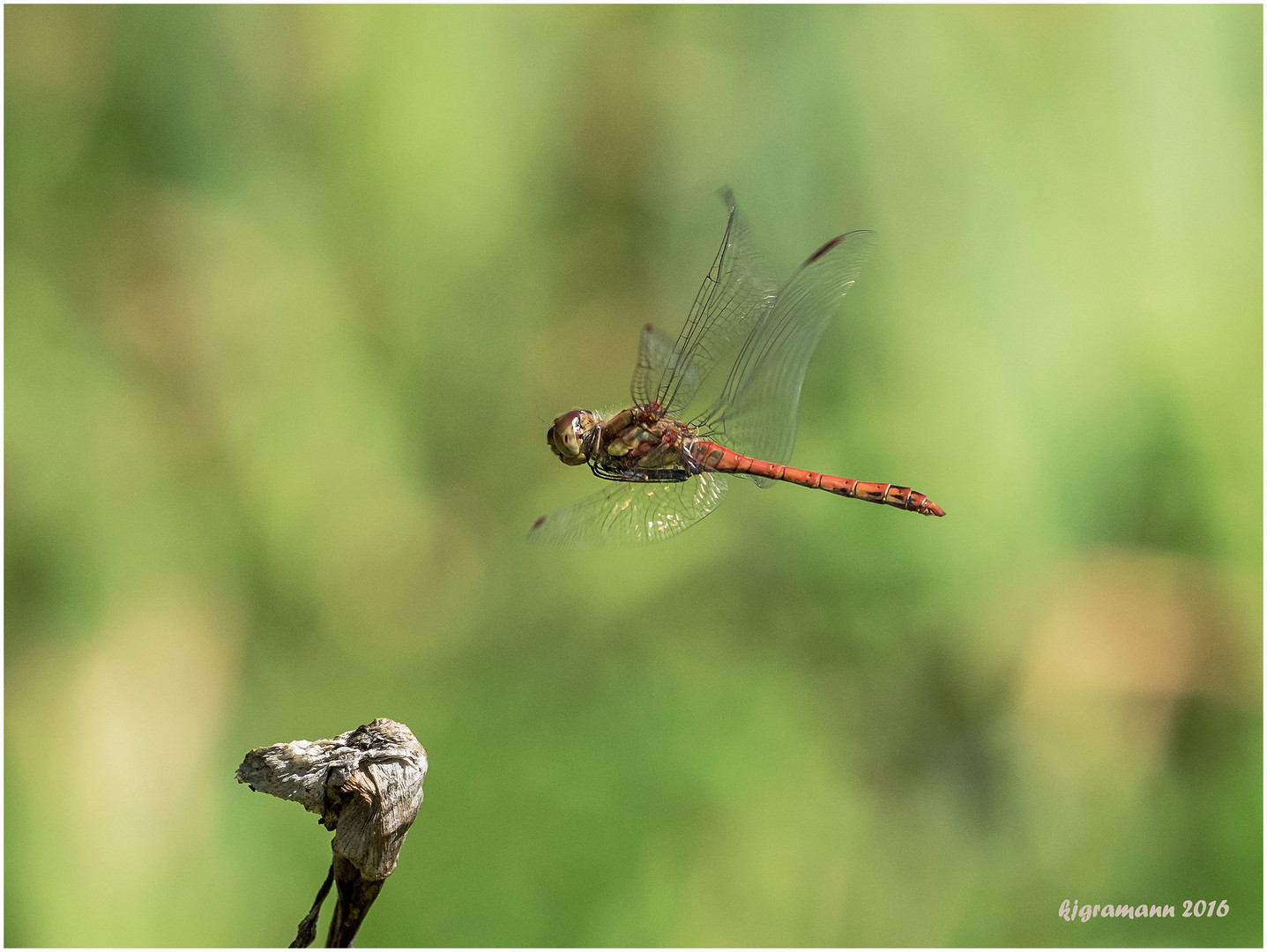 im vorbeiflug......