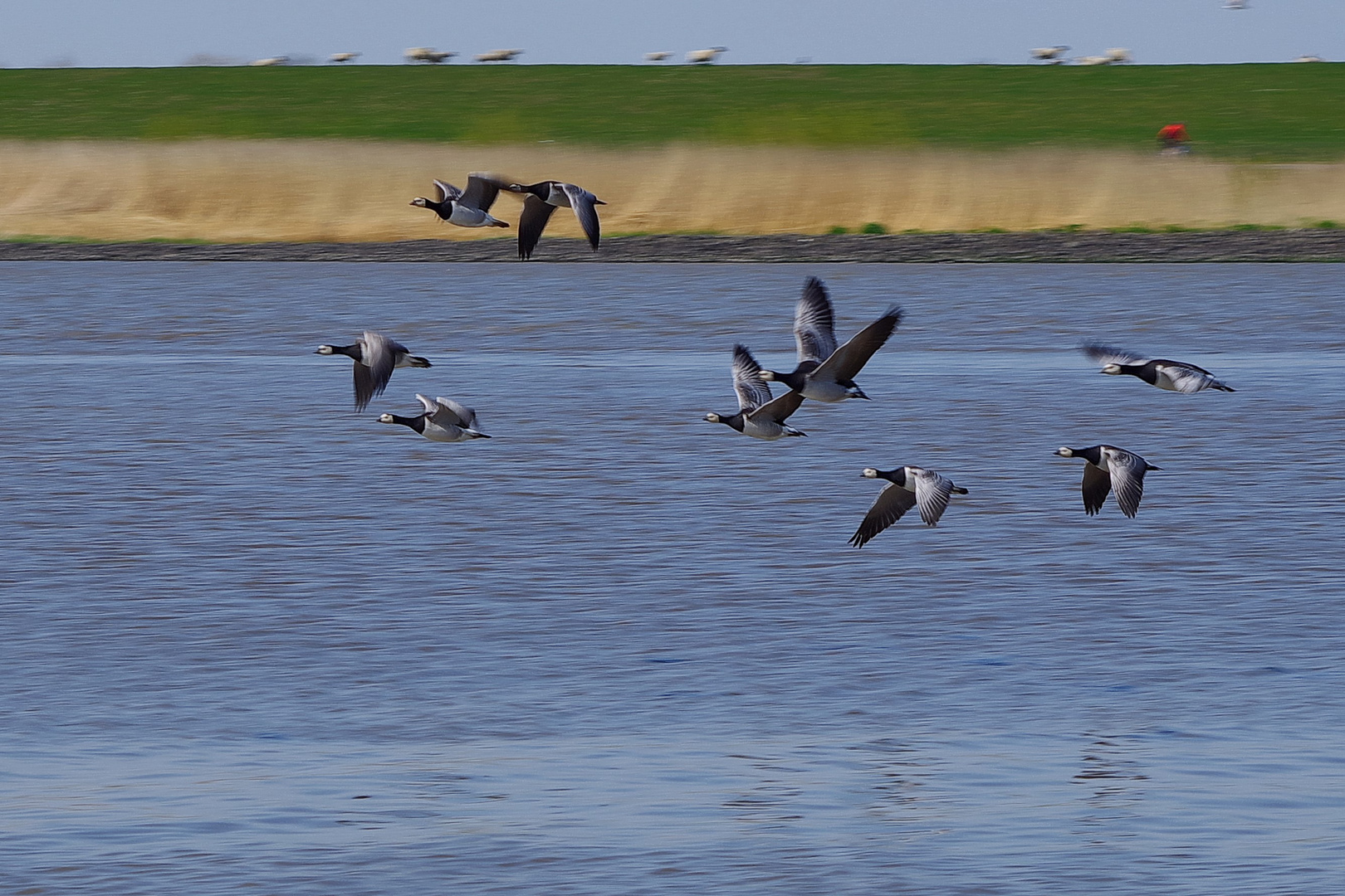 im Vorbeiflug