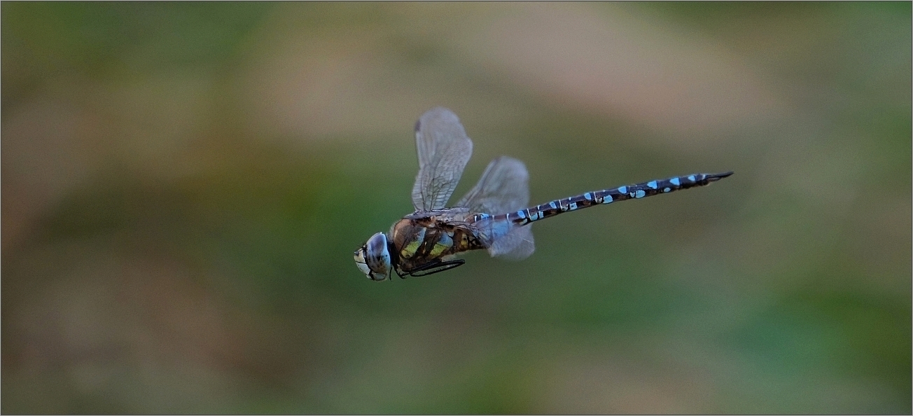 Im Vorbeiflug...