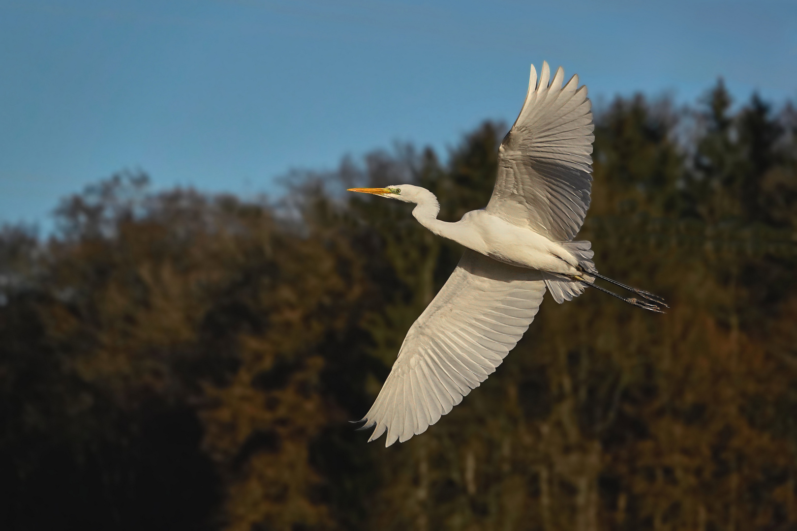 Im Vorbeiflug