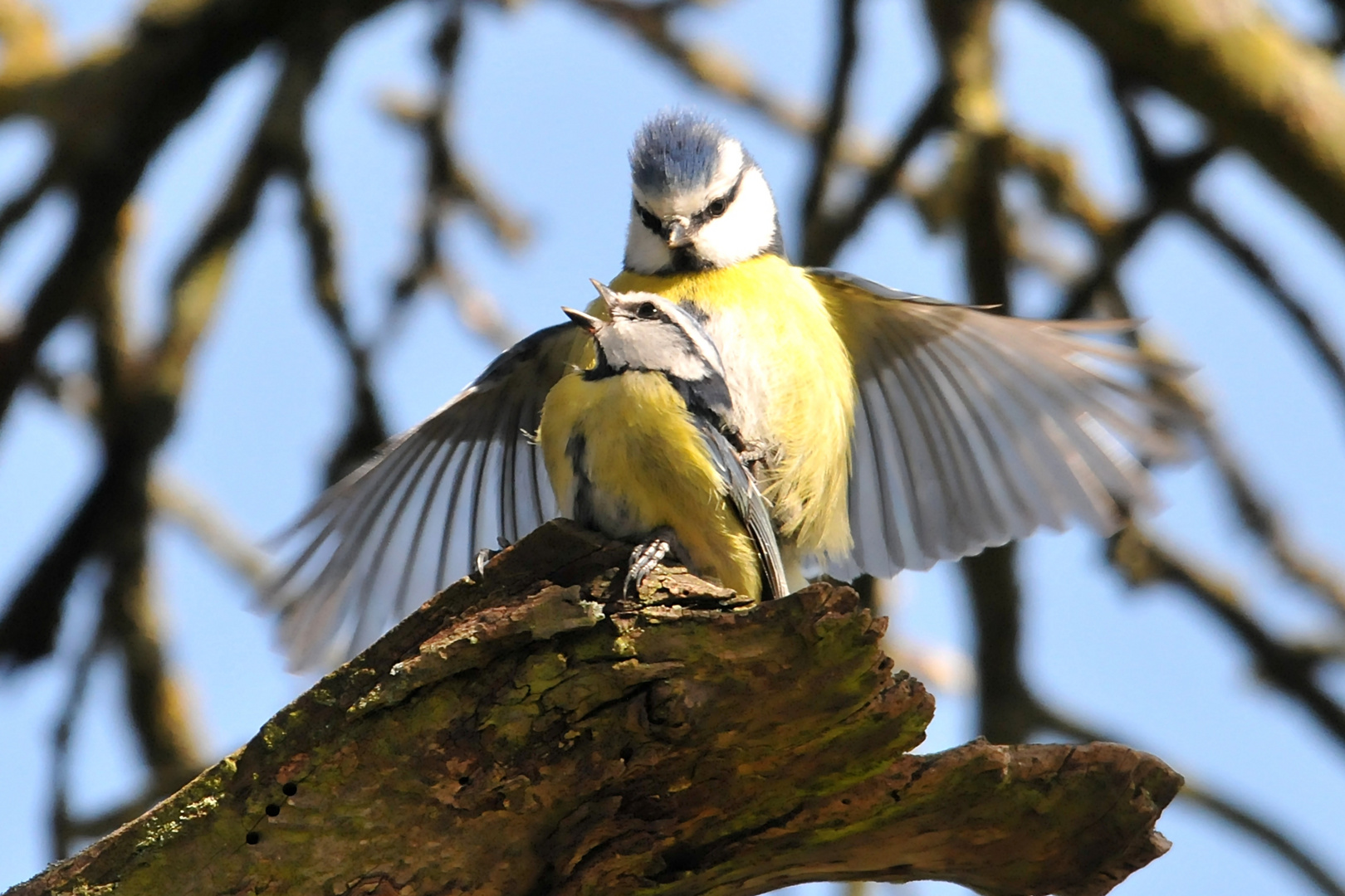 Im Vorbeiflug angedockt