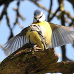 Im Vorbeiflug angedockt