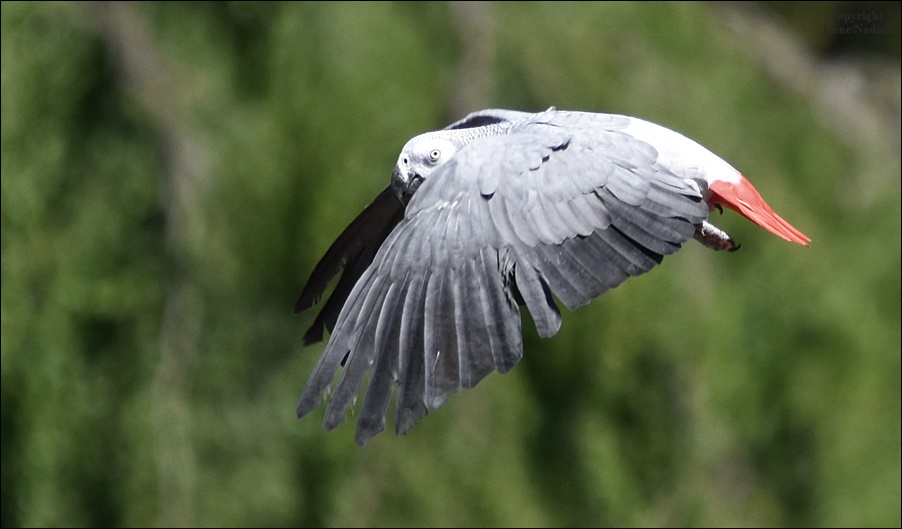 Im Vorbeiflug...