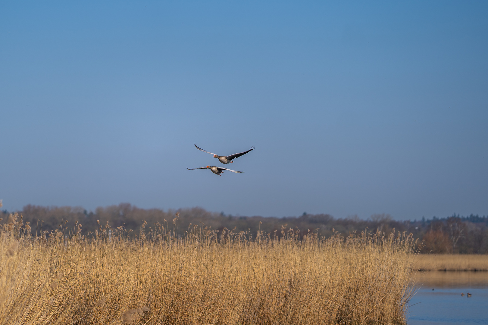 Im Vorbeiflug!!!