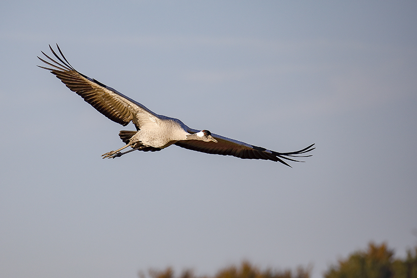 Im Vorbeiflug