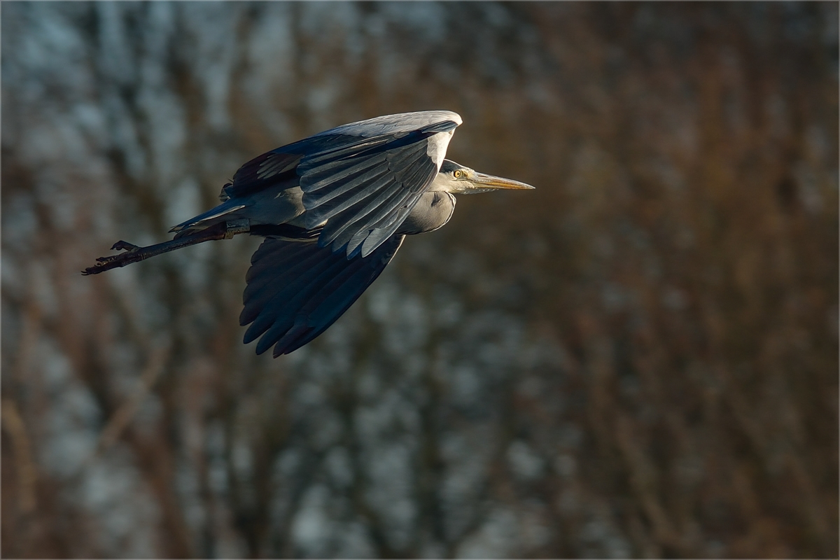 Im Vorbeiflug