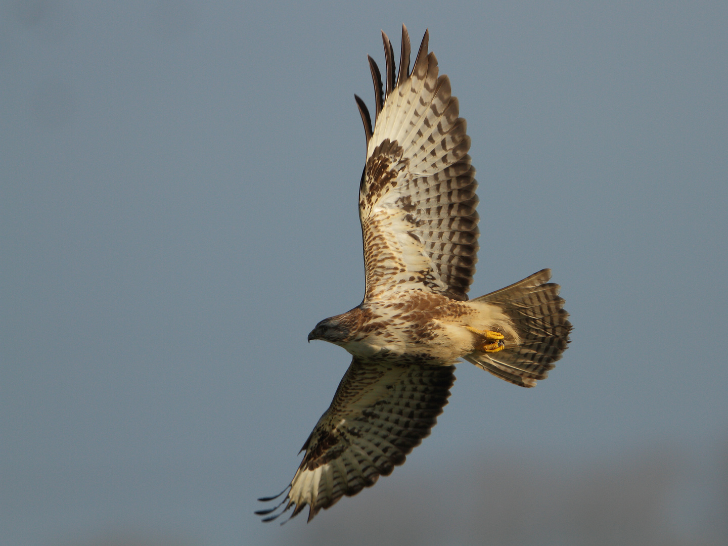 Im Vorbeiflug