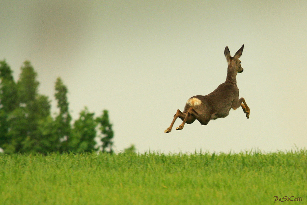 Im Vorbeiflug