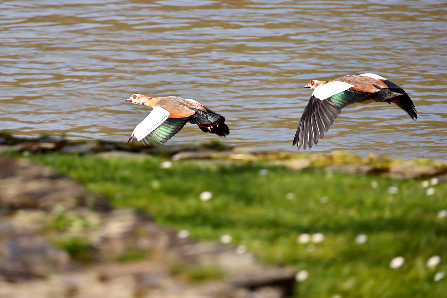 Im Vorbeiflug erwischt