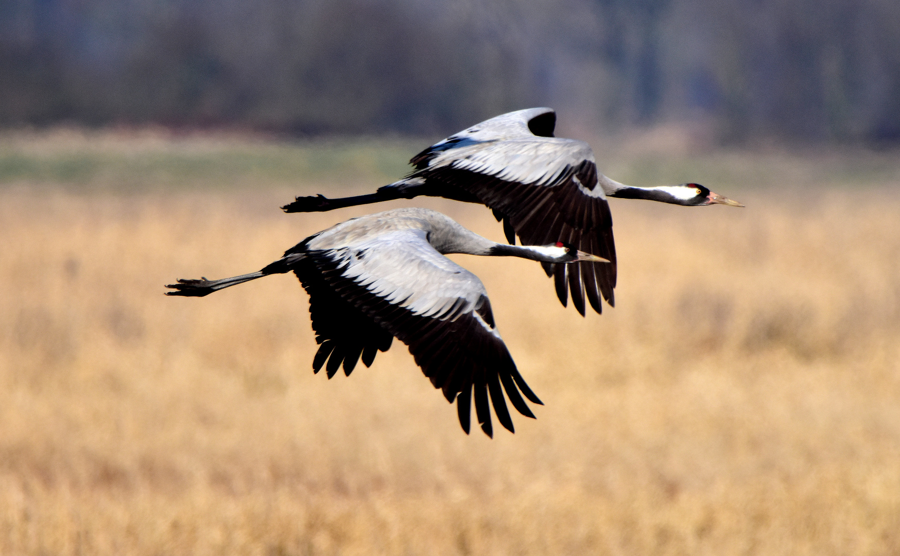 Im Vorbeiflug