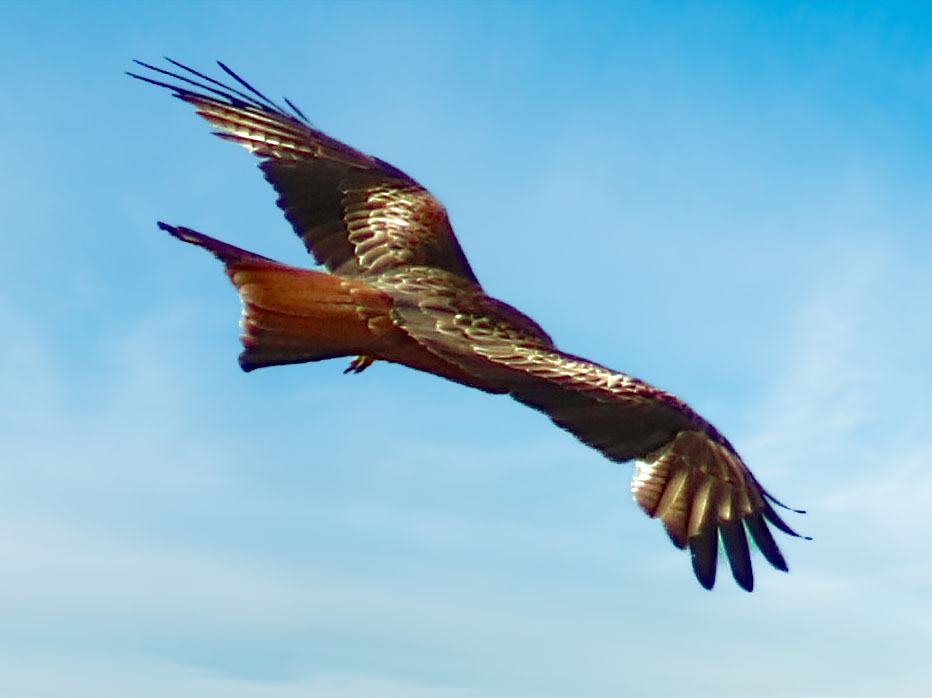 Im Vorbeiflug gesehen