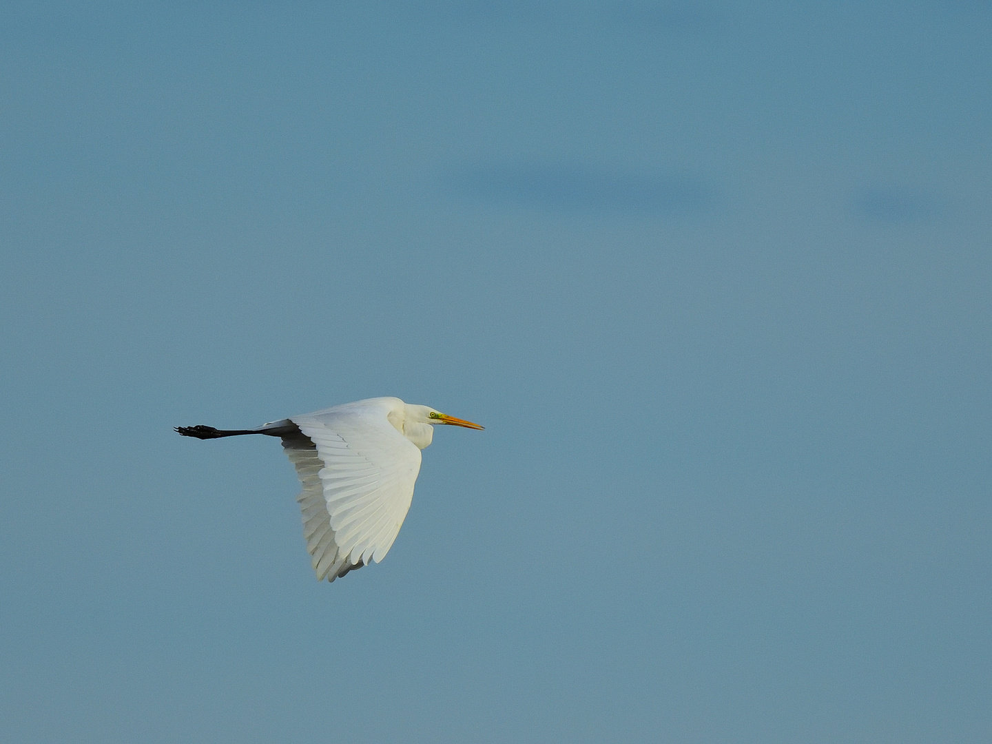 Im Vorbeiflug! In flyby! En sobrevuelo!