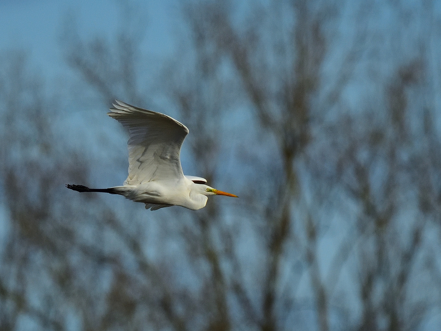 Im Vorbeiflug! In flyby! En sobrevuelo!