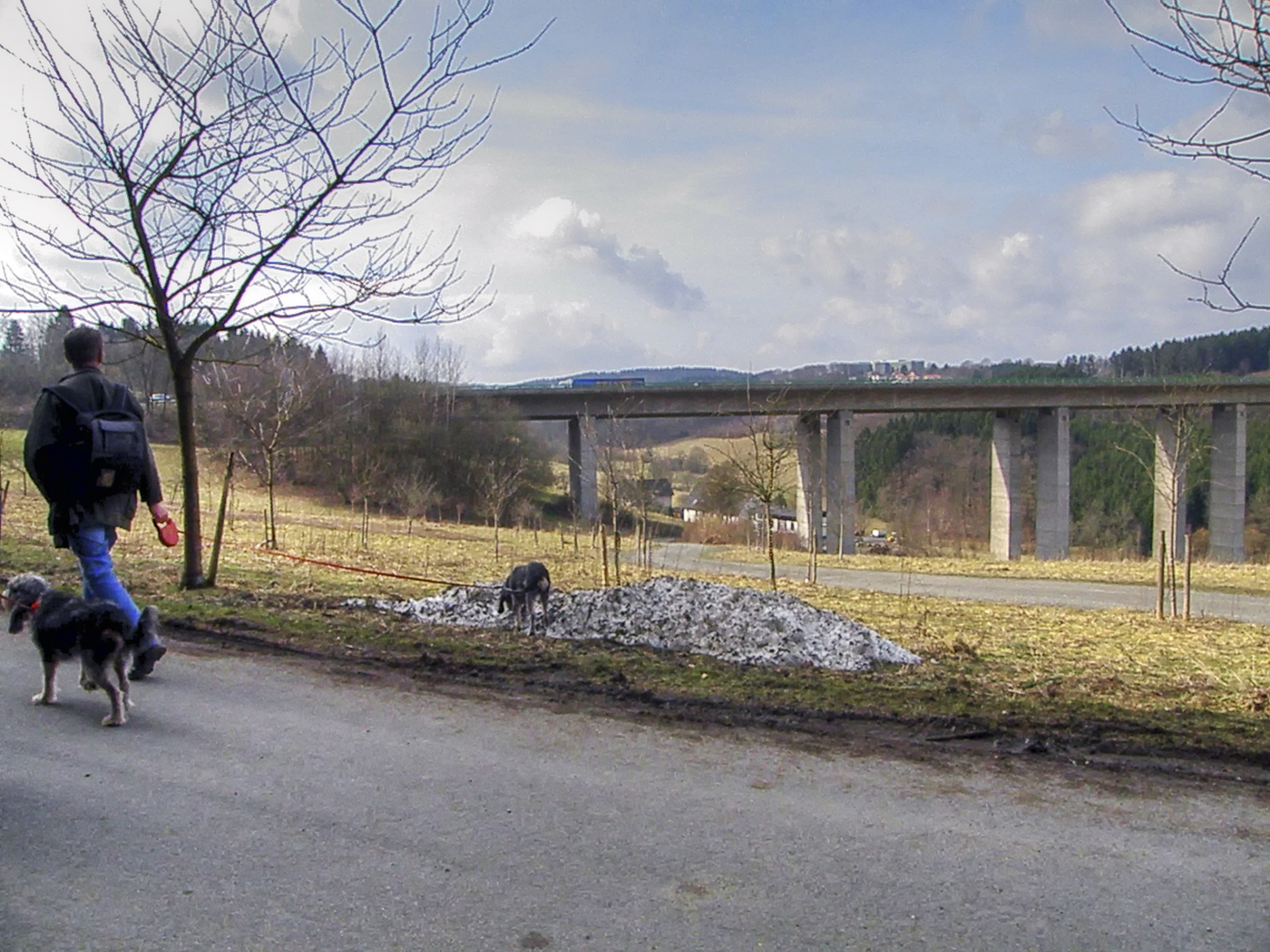 Im Vorbeigehen -Talbrücke Bremecke