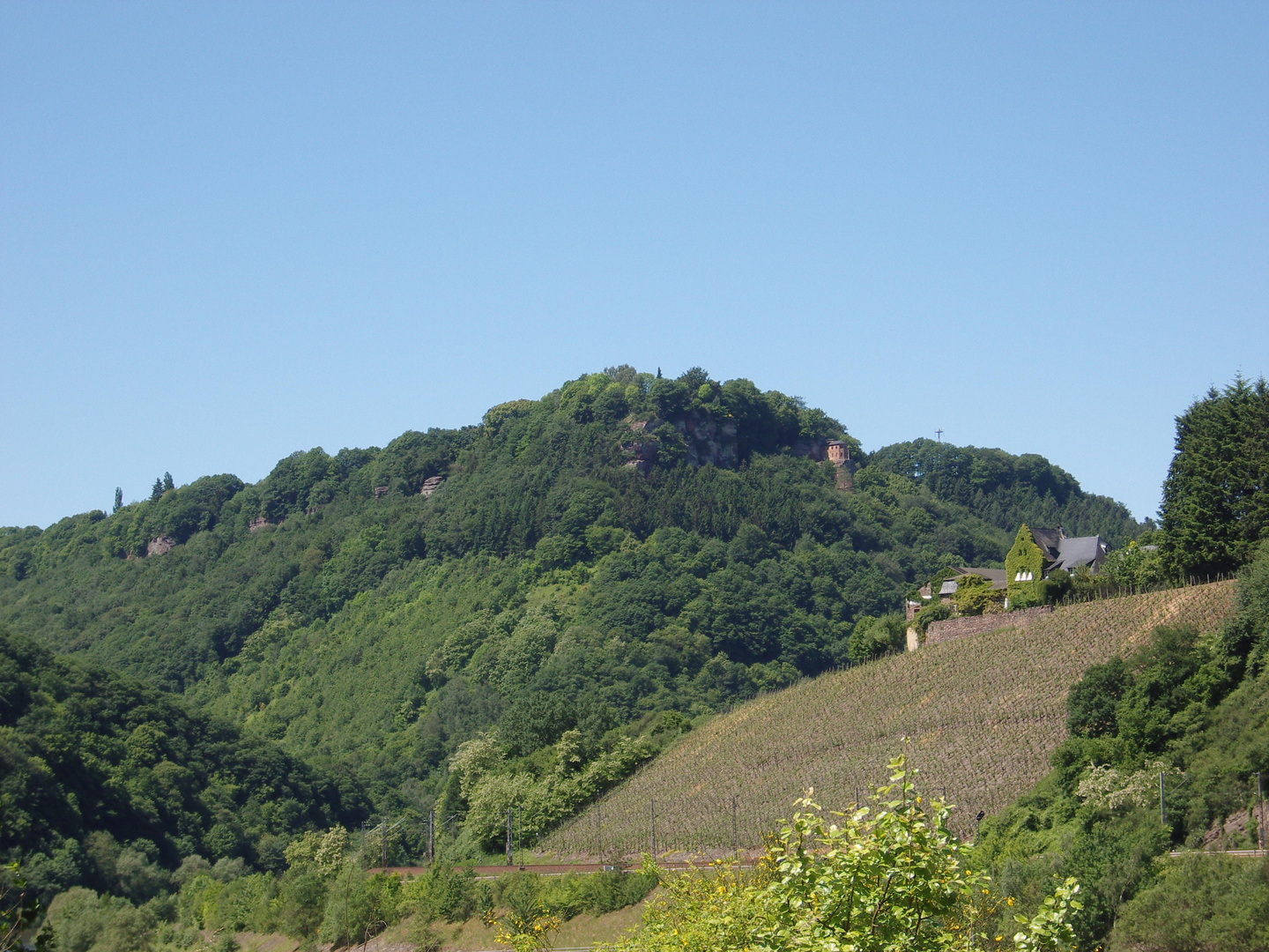 Im Vordergrund ein Weingut in Serrig, im Hintergrund die Klause bei Kastel mit einem Teil des Felsen