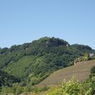 Im Vordergrund ein Weingut in Serrig, im Hintergrund die Klause bei Kastel mit einem Teil des Felsen