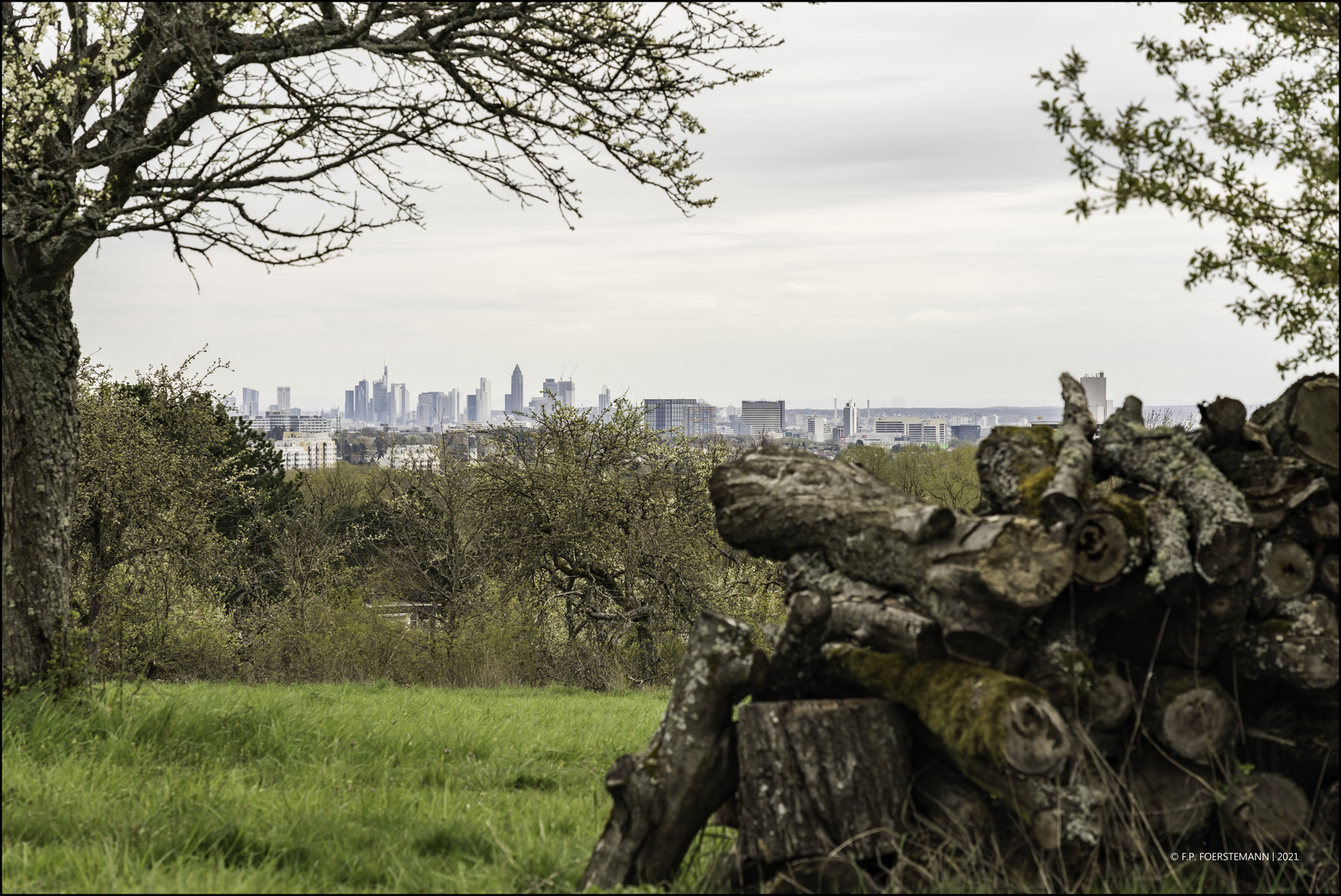 Im Vordertaunus