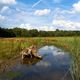 Landschaft und Natur