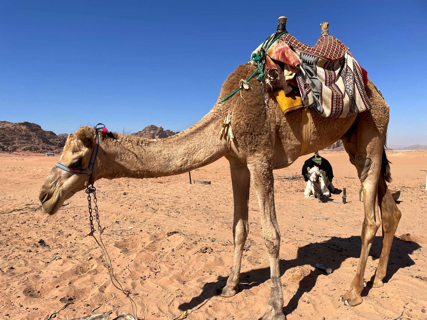  im Wadi Rum