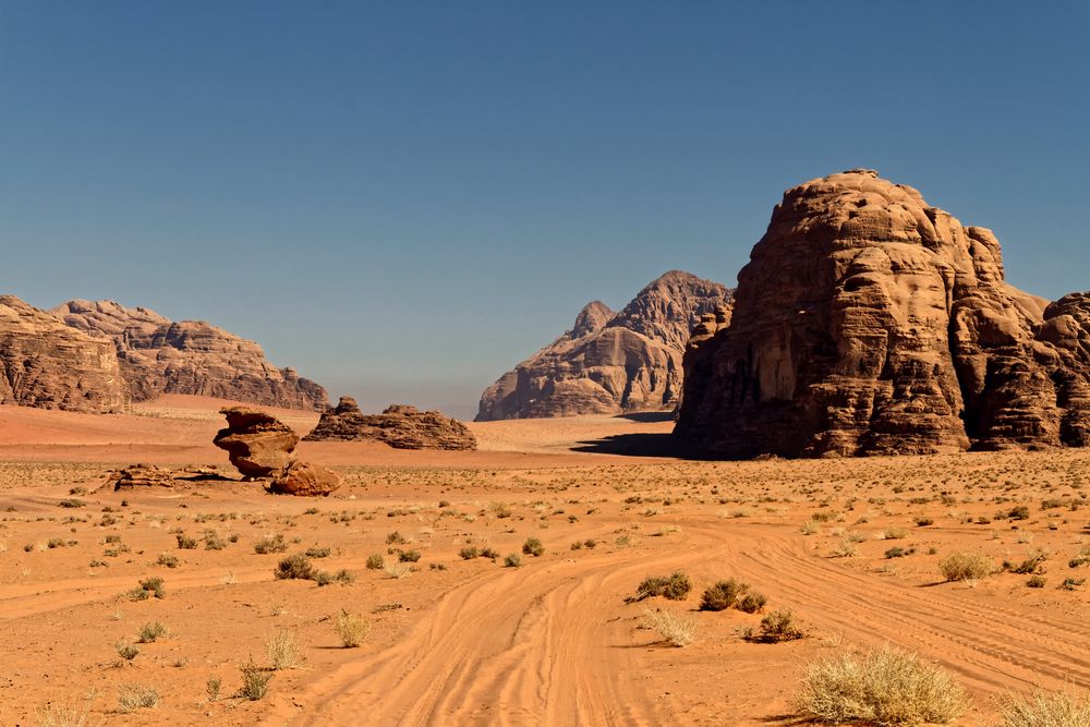 Im Wadi Rum...