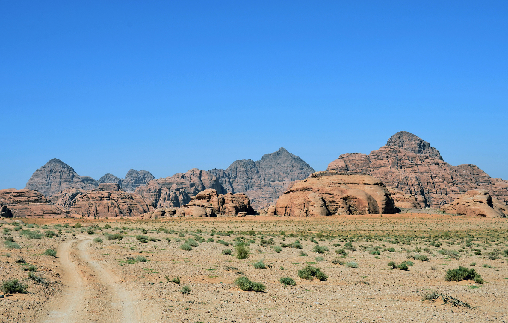 Im Wadi Rum