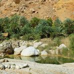 Im Wadi Tiwi