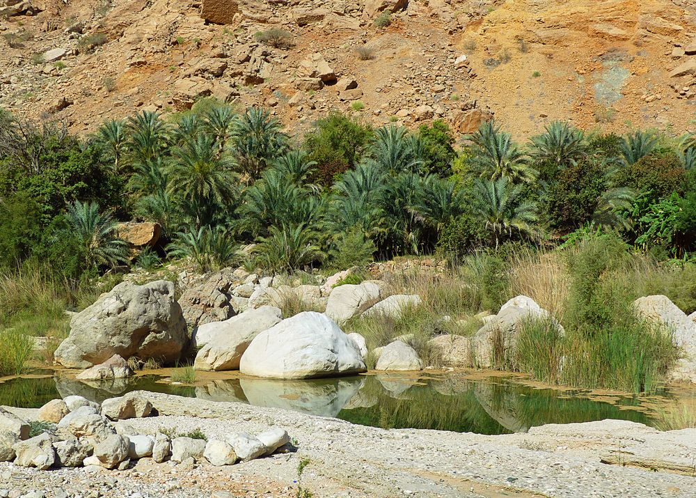 Im Wadi Tiwi