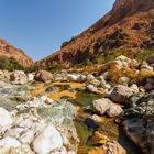 Im Wadi Tiwi...