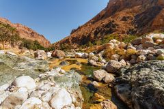 Im Wadi Tiwi...