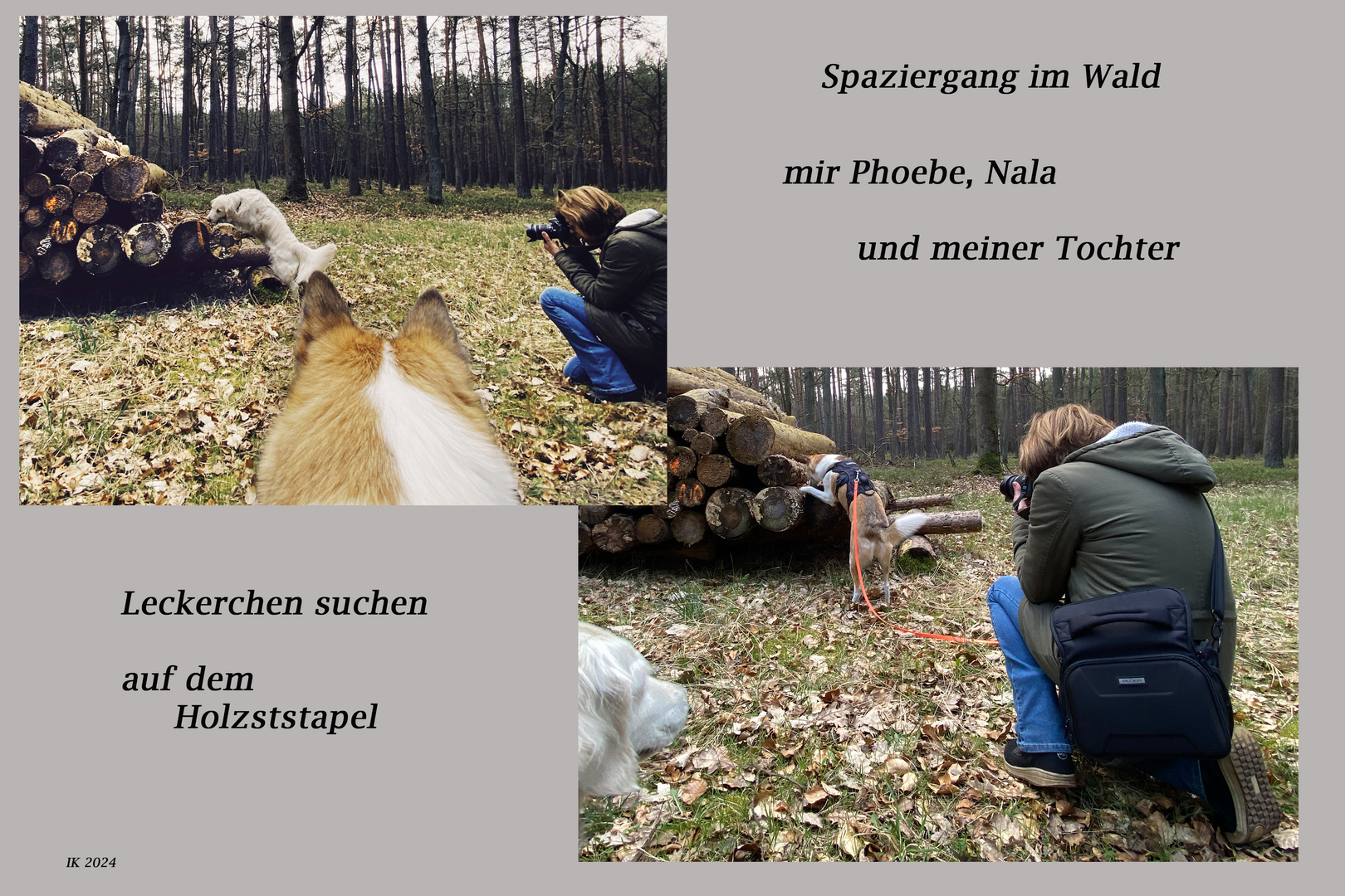 Im Wald 2