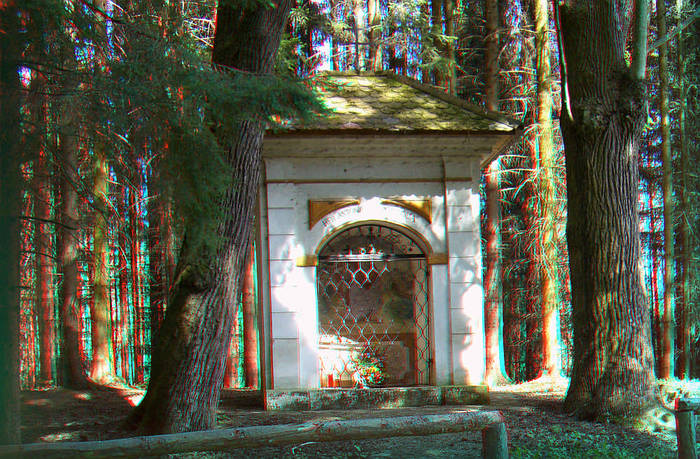 IM WALD (3D ANAGLYPHE)