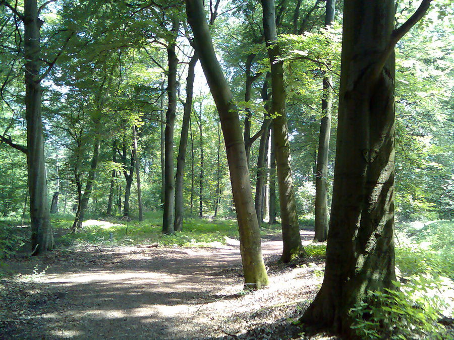 Im Wald :)