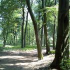 Im Wald :)