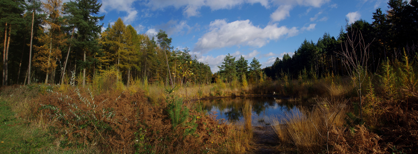 Im Wald