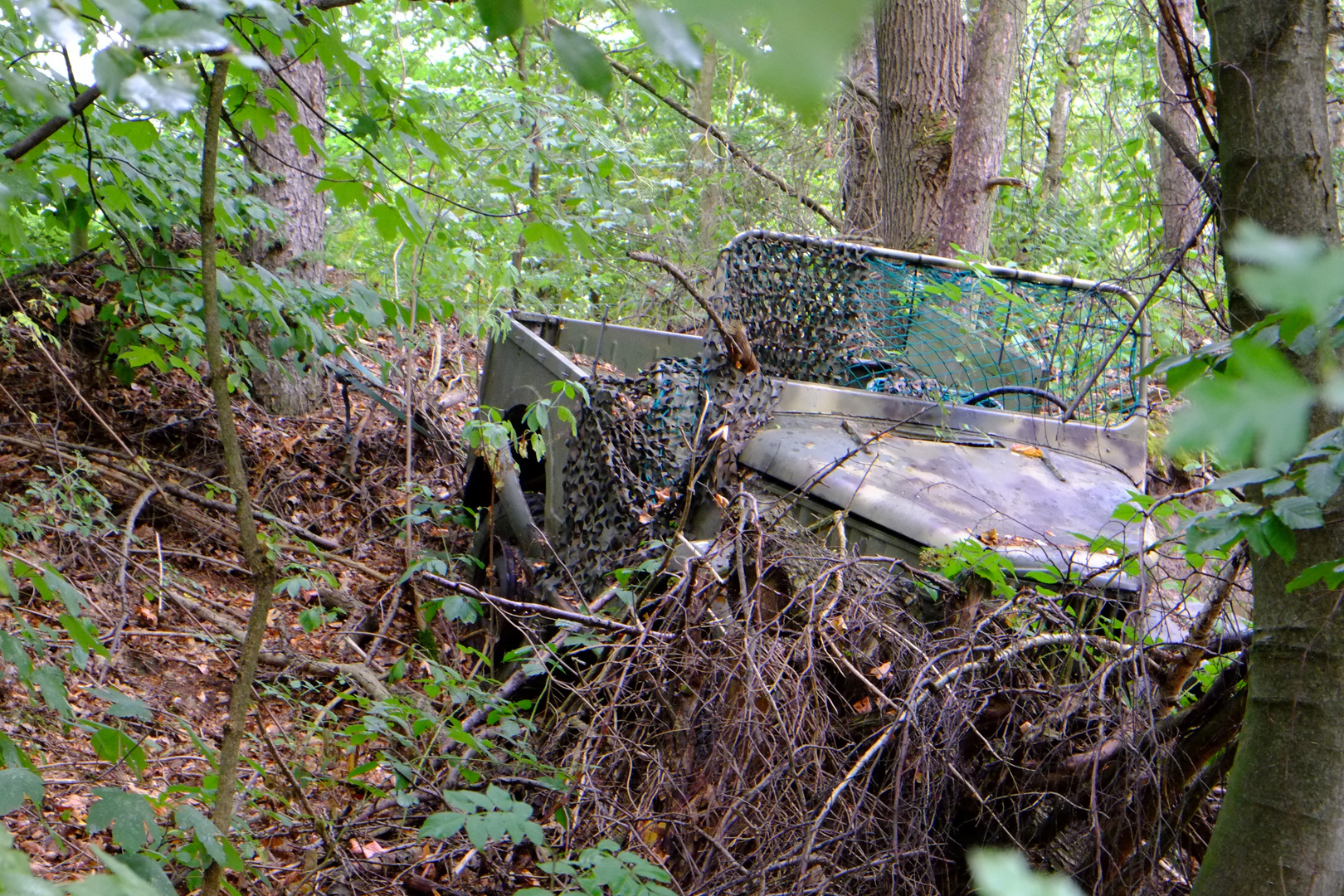 im Wald abgestellt