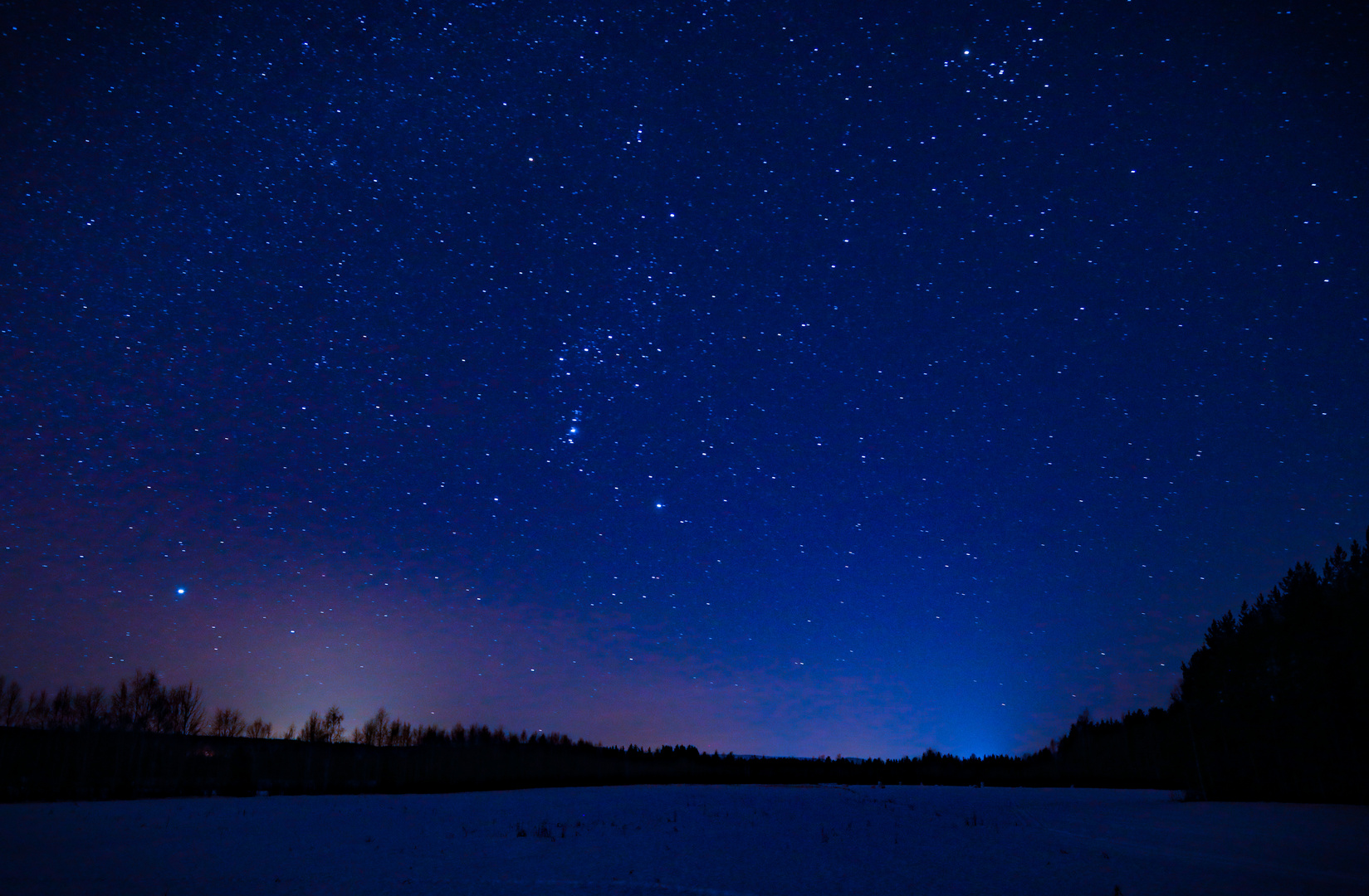 Im Wald am Polarkreis mit Blick zum Orion