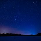 Im Wald am Polarkreis mit Blick zum Orion