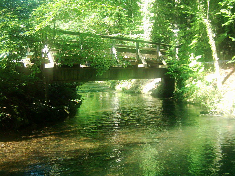 Im Wald bei Bad Reichenhall...