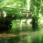 Im Wald bei Bad Reichenhall...