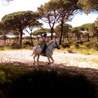 Im Wald bei Chiclana de la Frontera