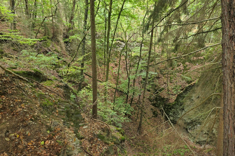 Im Wald bei den Resten der Roteisengrube Riesenburg am Riesenkopf 01