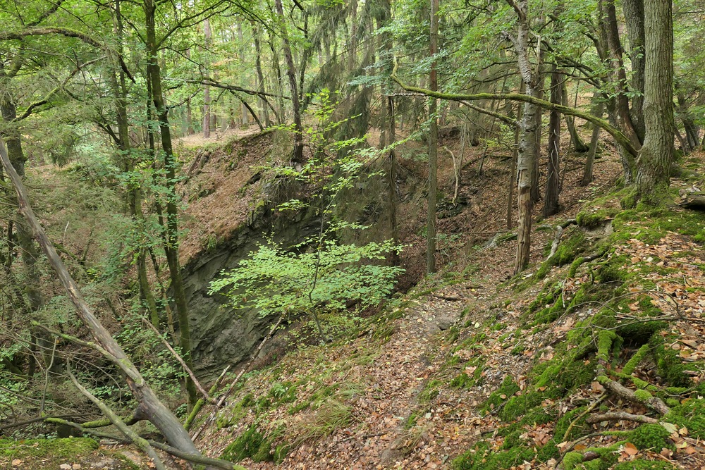 Im Wald bei den Resten der Roteisengrube Riesenburg am Riesenkopf 03