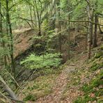 Im Wald bei den Resten der Roteisengrube Riesenburg am Riesenkopf 03